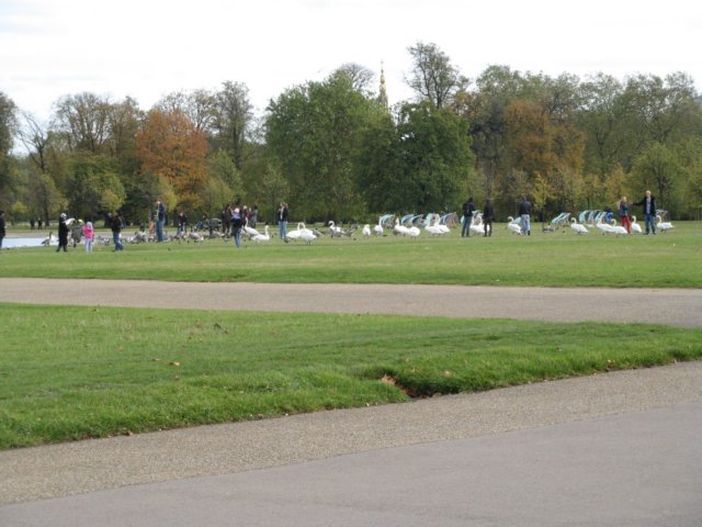 hydepark7.jpg