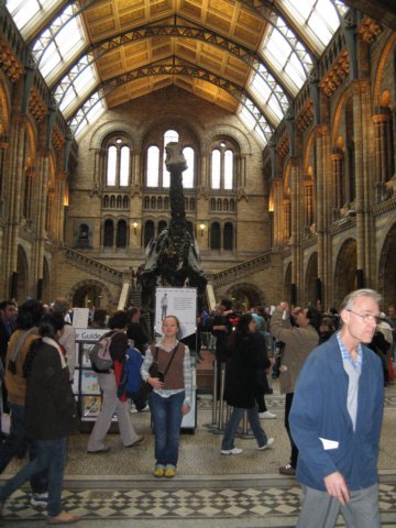 naturalhistorymuseum10.jpg