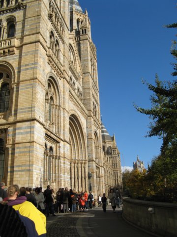 naturalhistorymuseum13.jpg