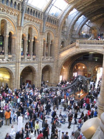 naturalhistorymuseum15.jpg