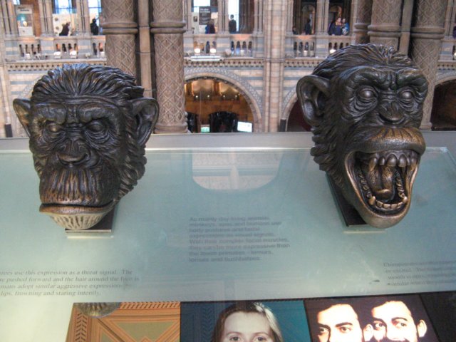 naturalhistorymuseum16.jpg