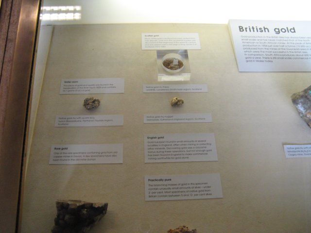 naturalhistorymuseum17.jpg