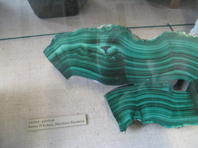 naturalhistorymuseum21.jpg