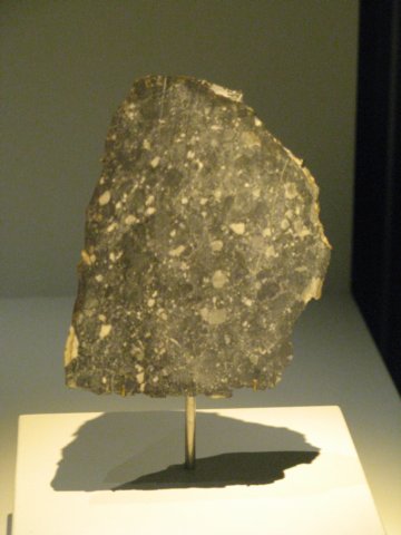 naturalhistorymuseum23.jpg