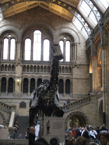 naturalhistorymuseum9.jpg